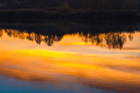 tree silhouettes reflected in the mirror during sunsetの写真素材