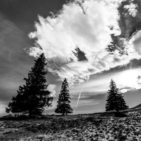 Mountain landscape with snow in black and white, Tatra Mountains, Polandの写真素材