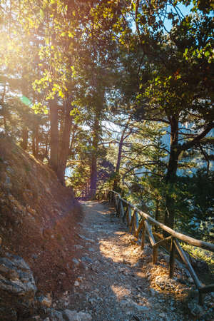 Samaria Gorge in central Crete, Greeceの写真素材