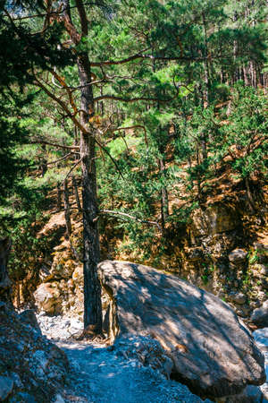 Samaria Gorge in central Crete, Greeceの写真素材