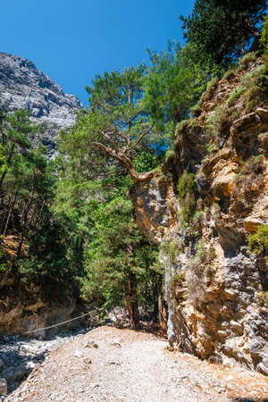 Samaria Gorge in central Crete, Greeceの写真素材