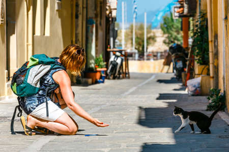 Young woman feeds a homeless cat on the streetの写真素材