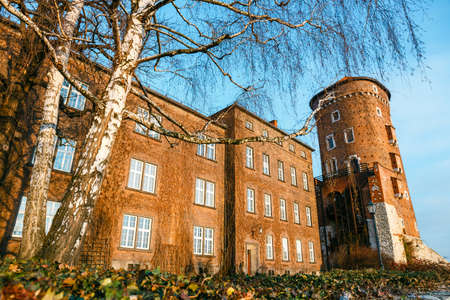 Architectural details of Wawel Castle in Krakow, one of the most famous landmark in Polandのeditorial素材