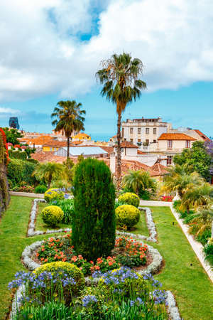 tropical botanical gardens in La Orotava town, Tenerife, Canary Islandsの写真素材