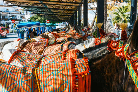 Close up of colorful decorated donkeys famous as Burro-taxi waiting for passengers in Mijas, a major tourist attraction. Andalusia, Spainの写真素材