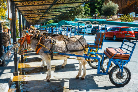 Mijas, Spain, April 08, 2018: Close up of colorful decorated donkeys famous as Burro-taxi waiting for passengers in Mijas, a major tourist attraction. Andalusia, Spainのeditorial素材