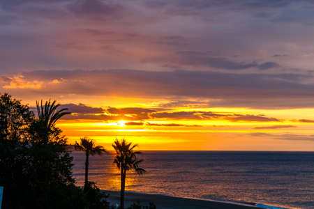 Silhouette of palm trees at sunset, Spainの写真素材