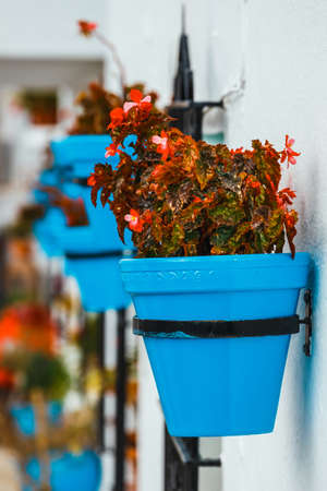 decorated facade of house with flowers in blue pots in Mijas, Spainの写真素材