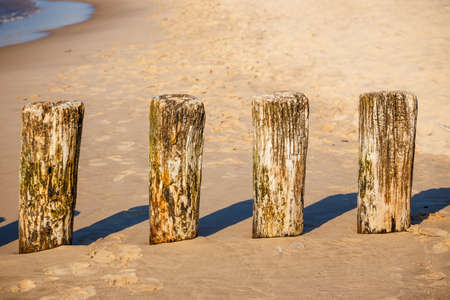 breakwater on the beach at sunset, close upの写真素材