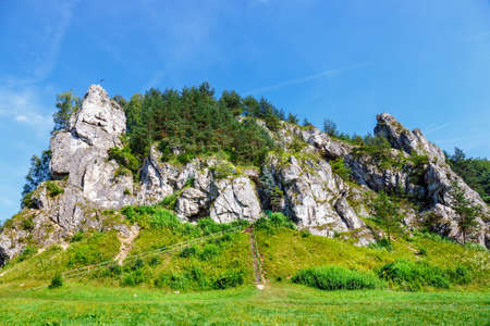Summer landscape in Bedkowska Valley in Polandの写真素材