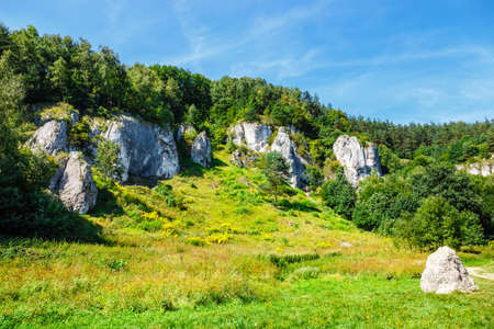 Summer landscape in Bedkowska Valley in Polandの写真素材