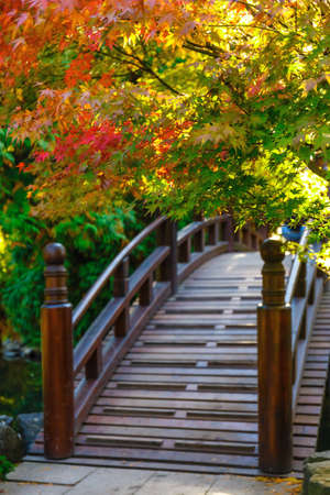 Beautiful japanese garden with bridge in autumn timeの写真素材