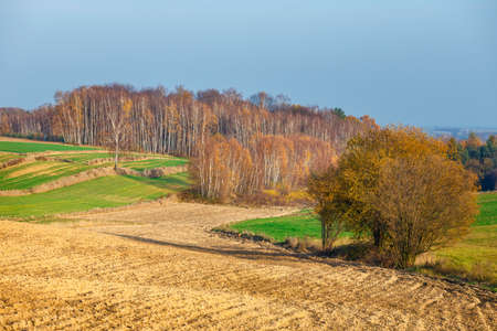 agricultural fields in rural countryside area at sunset, Polandの写真素材