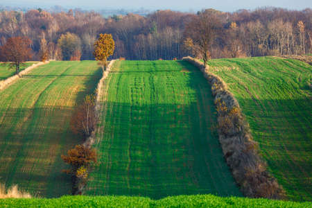 agricultural fields in rural countryside area at sunset, Polandの写真素材