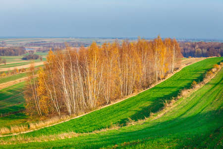 agricultural fields in rural countryside area at sunset, Polandの写真素材