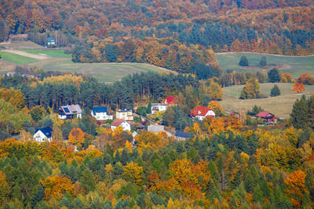 aerial view of the autumn forest, the Kashubian region, Gda?sk Pomeraniaの写真素材