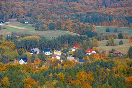 aerial view of the autumn forest, the Kashubian region, Gdañsk Pomeraniaの写真素材
