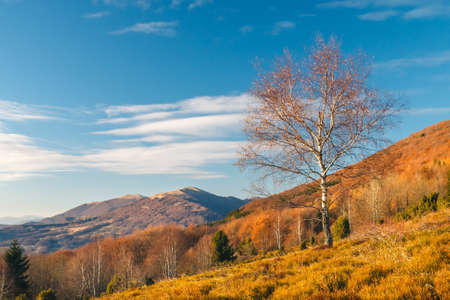 Autumn landscape in Bieszczady Mountains, south east Polandの写真素材