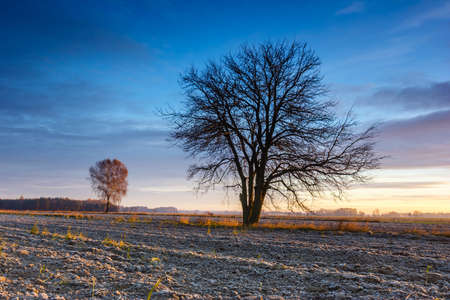 Beautiful sunrise over the field, countryside landscapeの写真素材