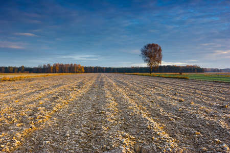 Beautiful sunrise over the field, countryside landscapeの写真素材