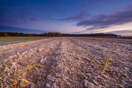 Beautiful sunrise over the field, countryside landscapeの写真素材