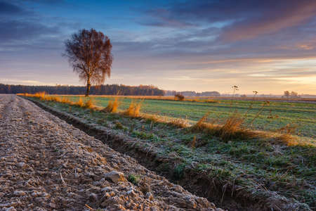 Beautiful sunrise over the field, countryside landscapeの写真素材