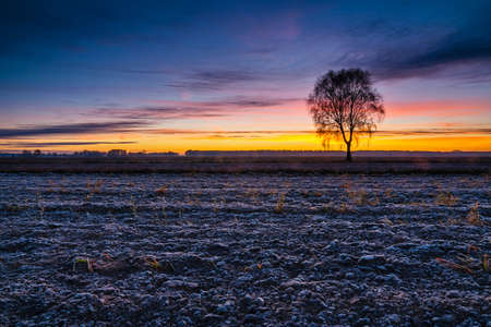 Beautiful sunrise over the field, countryside landscapeの写真素材