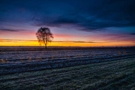 Beautiful sunrise over the field, countryside landscapeの写真素材
