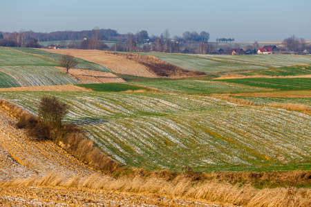 cultivated agricultural fields as abstract pattern in autumn sunset. Colorful countryside patchwork