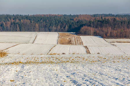 snow covering the field during the winterの写真素材
