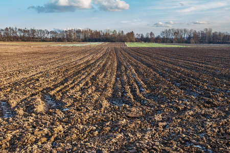 Newly plowed field ready for new cropsの写真素材