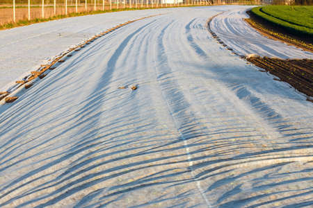 freshly plowed field covered with agrotextileの写真素材