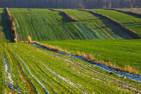 cultivated agricultural fields as abstract pattern in autumn sunset. Colorful countryside patchworkの写真素材