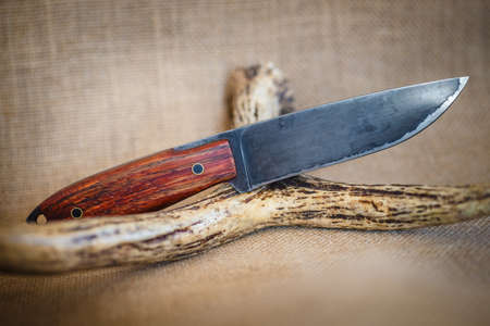 Hunter combat hand made knife and deer antlersの写真素材
