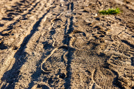 traces of shoes on a dirt road, close upの写真素材
