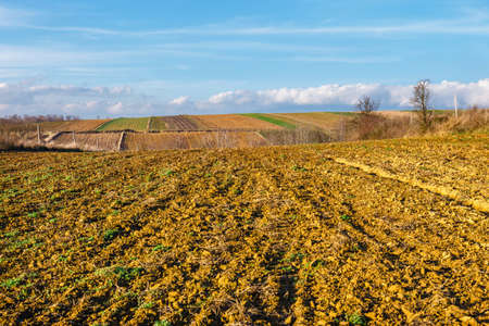 Background of newly plowed field ready for new cropsの写真素材