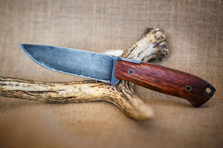 Hunting knife with burnished blade and amazaque wooden handleの写真素材