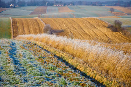 cultivated agricultural fields in autumn sunset. Colorful countryside patchworkの写真素材