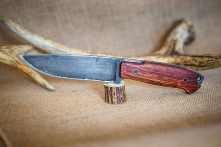 Hunting knife with burnished blade and amazaque wooden handleの写真素材