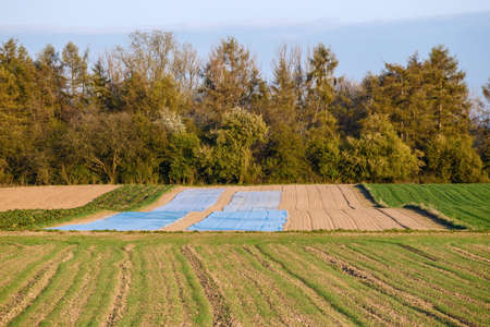 Furrows row pattern in a plowed field prepared for planting crops in springの写真素材