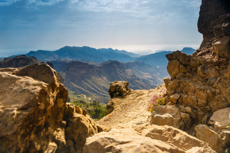 beautiful landscape of the volcanic island of gran canariaの写真素材