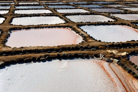 Gran Canaria, Salinas de Tenefe salt evaporation ponds, southeastern part of the island, pink color created by Dunaliella salina algaeの写真素材