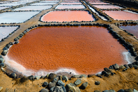 Gran Canaria, Salinas de Tenefe salt evaporation ponds, southeastern part of the island, pink color created by Dunaliella salina algaeの写真素材