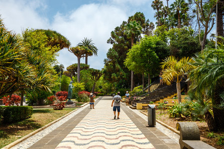 Arucas, Spain, July 19, 2022: Beautiful garden in the center of Arucas, Gran Canaria, Spain.のeditorial素材