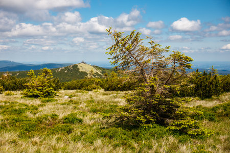mountain path in the Karkonosze Mountainsの写真素材