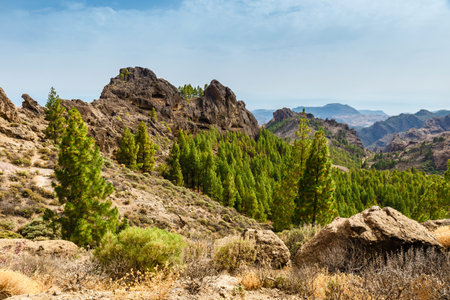beautiful landscape of the volcanic island of gran canariaの写真素材
