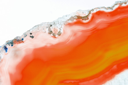 Abstract background - orange slice agate mineralの写真素材