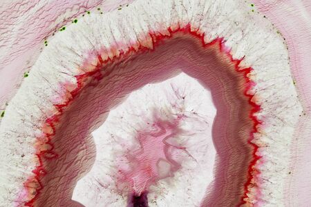 Abstract background - red and yellow agate mineral cross sectionの写真素材