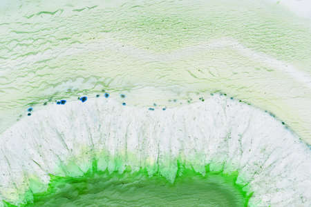 Abstract background - green agate mineral cross sectionの写真素材