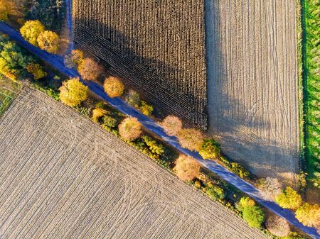 Aerial view of country road, autumn trees and ploughed fields, top down landscapeの写真素材